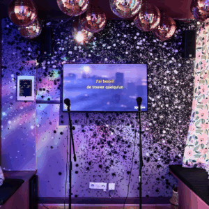 Soirée karaoké privé et planche apéro - Paillettes fever